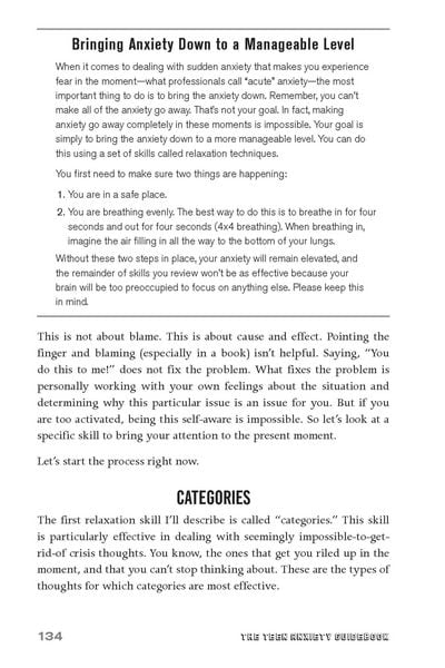 Produktbild: The Teen Anxiety Guidebook