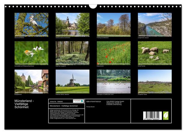 Produktbild: M&uuml;nsterland - Vielf&auml;ltige Sch&ouml;nheit (Wandkalender 2026 DIN A3 quer), CALVENDO Monatskalender