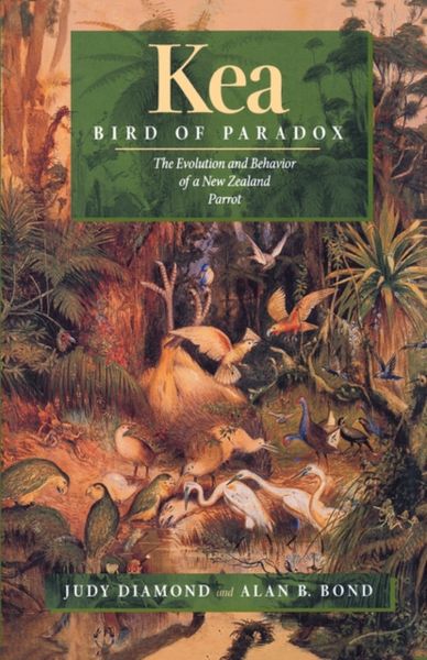 Produktbild: Kea, Bird of Paradox