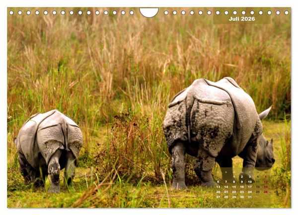 Produktbild: Wilde Tiere Indiens (Wandkalender 2026 DIN A4 quer), CALVENDO Monatskalender