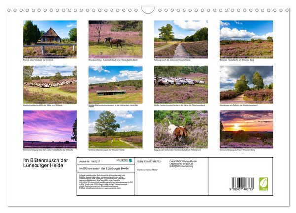 Produktbild: Im Bl&uuml;tenrausch der L&uuml;neburger Heide (Wandkalender 2026 DIN A3 quer), CALVENDO Monatskalender