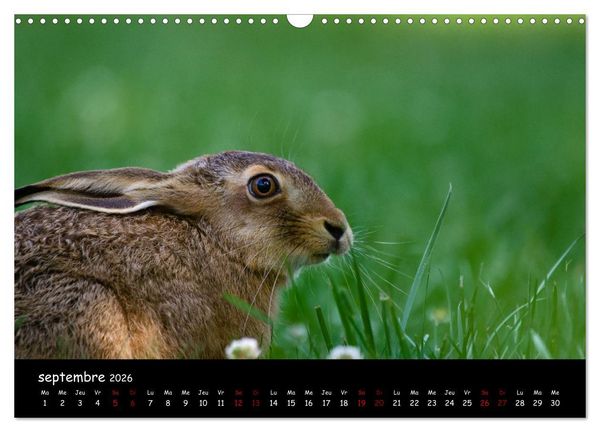Produktbild: La nature pr&egrave;s de chez vous (Calendrier mural 2026 DIN A3 vertical), CALVENDO calendrier mensuel