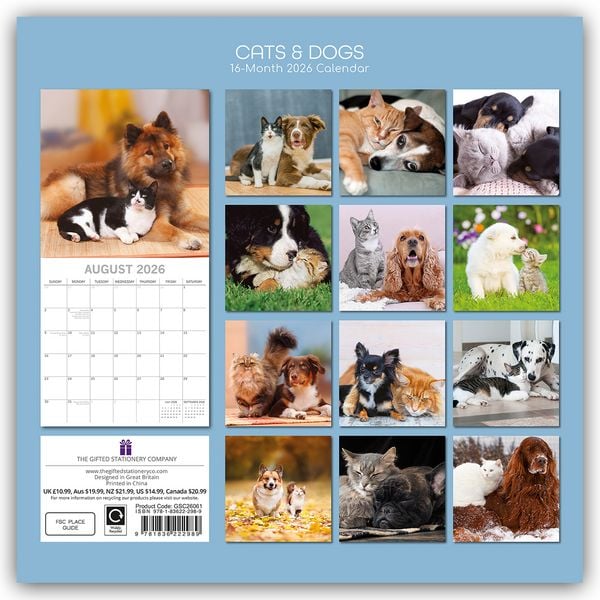 Produktbild: Cats and Dogs – Katzen und Hunde 2026 – 16-Monatskalender