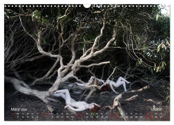 Produktbild: Poesie der Stille &ndash; Akt in der Natur (Wandkalender 2026 DIN A3 quer), CALVENDO Monatskalender
