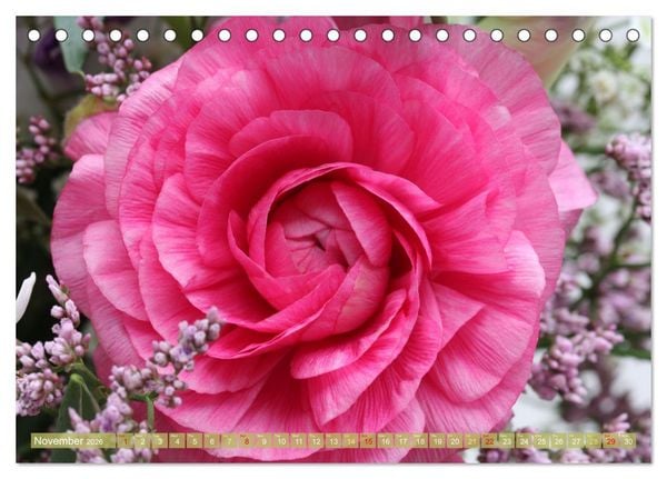 Produktbild: A Flower Festival (Desk Calendar 2026 DIN A5 landscape), CALVENDO 12 Month DeskCalendar