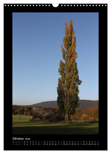 Produktbild: Odenwald & Bergstra&szlig;e (Wandkalender 2026 DIN A3 hoch), CALVENDO Monatskalender