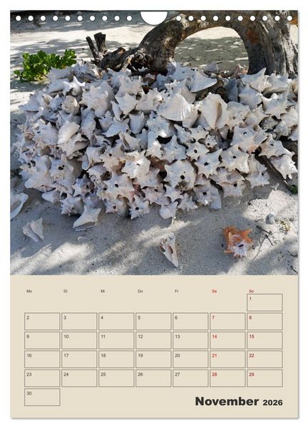 Produktbild: Mexiko Yucat&aacute;n Terminplaner (Wandkalender 2026 DIN A4 hoch), CALVENDO Monatskalender