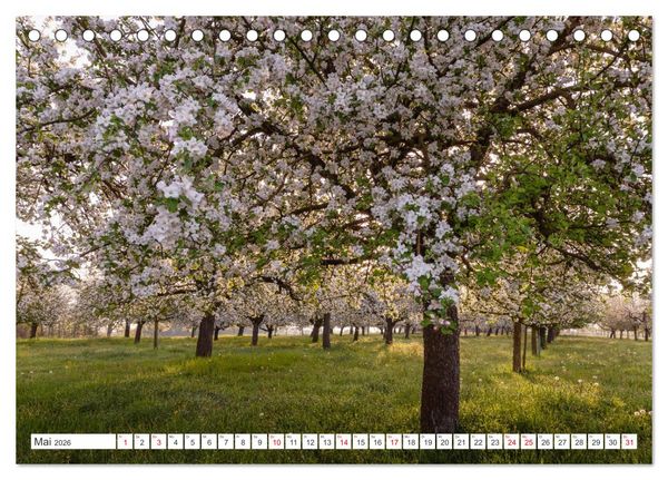 Produktbild: Kanton Thurgau (Tischkalender 2026 DIN A5 quer), CALVENDO Monatskalender