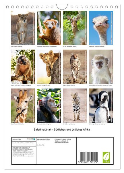 Produktbild: Safari hautnah - S&uuml;dliches und &ouml;stliches Afrika (Wandkalender 2026 DIN A4 hoch), CALVENDO Monatskalender