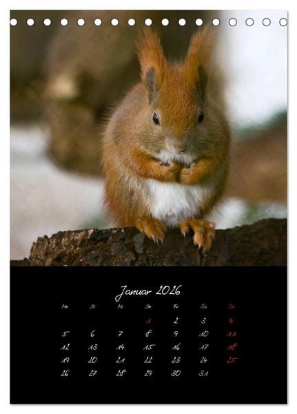 Produktbild: Tiere (Tischkalender 2026 DIN A5 hoch), CALVENDO Monatskalender
