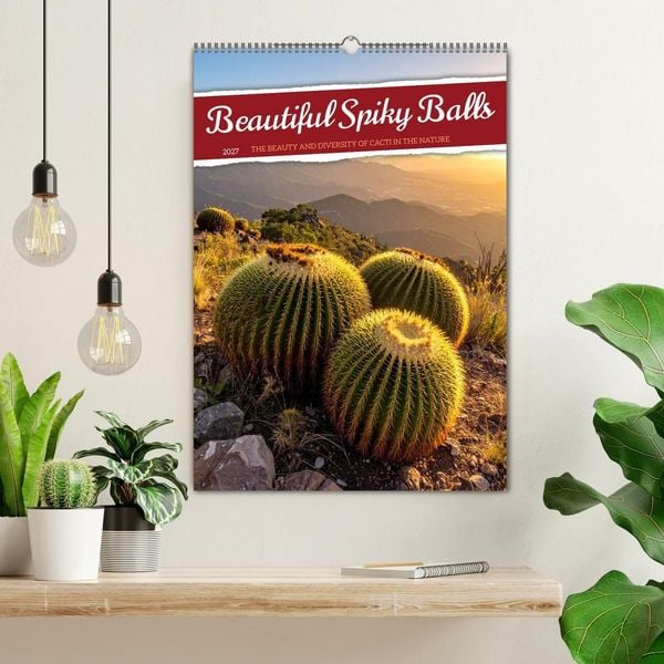 Produktbild: Beautiful Spiky Balls (Wall Calendar 2027 DIN A2 portrait), CALVENDO 12 Month Wall Calendar