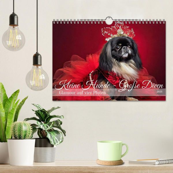 Produktbild: Kleine Hunde - Gro&szlig;e Diven (Wandkalender 2026 DIN A4 quer), CALVENDO Monatskalender