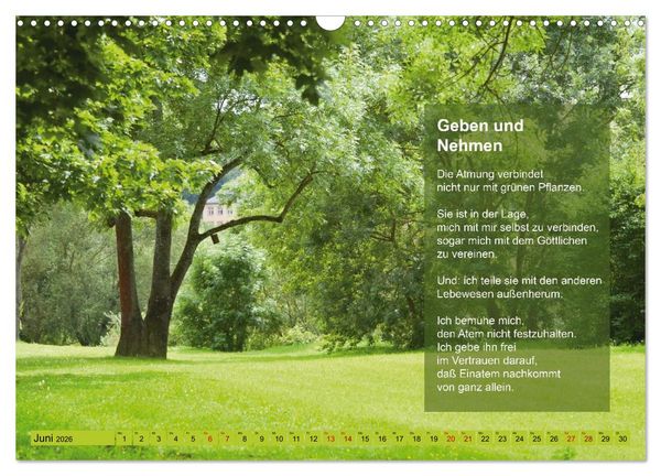 Produktbild: Im Rhythmus der Jahreszeiten und des Kirchenjahres (Wandkalender 2026 DIN A3 quer), CALVENDO Monatskalender
