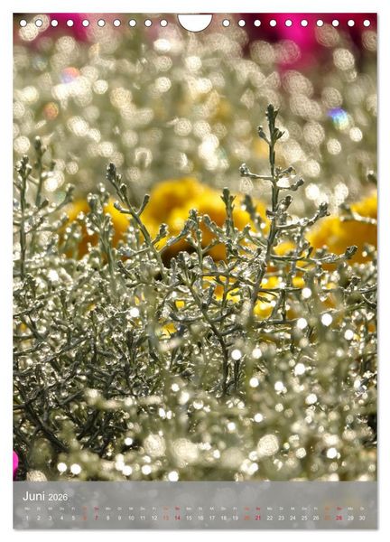 Produktbild: Mit Bokeh-Fotografie durch das Jahr (Wandkalender 2026 DIN A4 hoch), CALVENDO Monatskalender