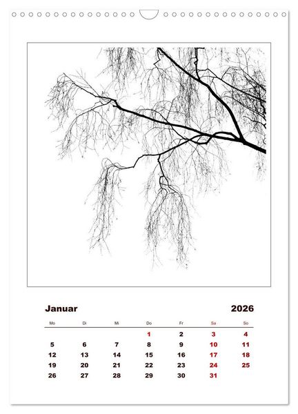 Produktbild: LignoGrafica - Muster und Strukturen der B&auml;ume (Wandkalender 2026 DIN A3 hoch), CALVENDO Monatskalender