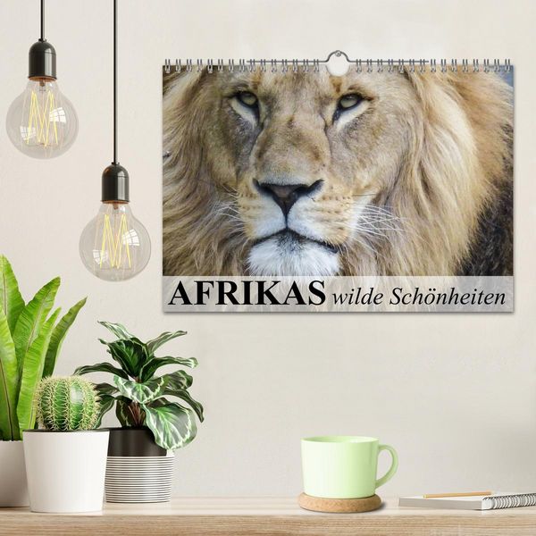 Produktbild: Afrikas wilde Sch&ouml;nheiten (Wandkalender 2026 DIN A4 quer), CALVENDO Monatskalender