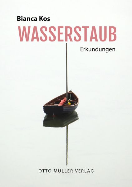 Produktbild: Wasserstaub