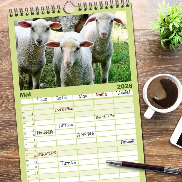 Produktbild: Familienplaner 2026 - Sch&auml;fchen z&auml;hlen - mit Schafen durchs Jahr mit 5 Spalten (Wandkalender, 21 x 45 cm) CALVENDO