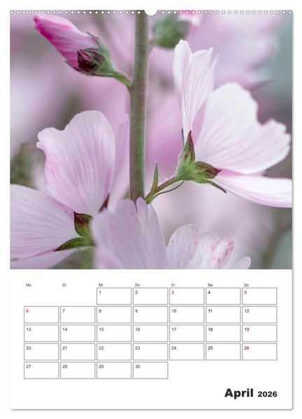 Produktbild: Farbiger Bl&uuml;tentraum (Wandkalender 2026 DIN A2 hoch), CALVENDO Monatskalender
