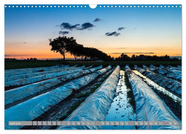 Produktbild: Kurpfalz 2026 (Wandkalender 2026 DIN A3 quer), CALVENDO Monatskalender