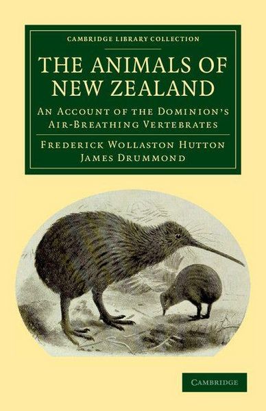 Produktbild: The Animals of New Zealand