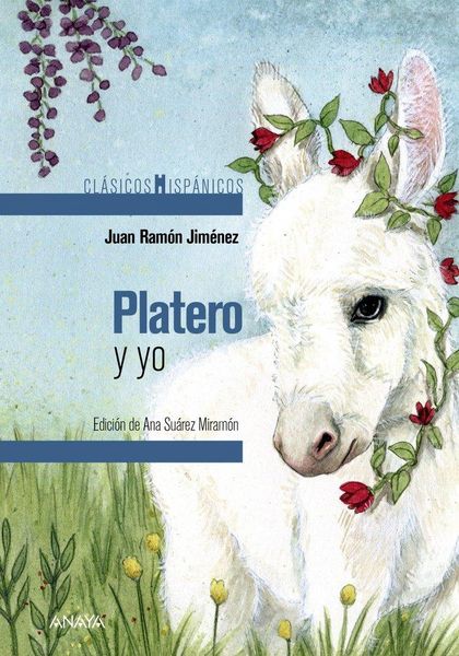Produktbild: Platero y yo