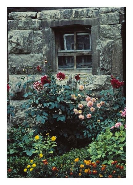 Produktbild: Bauerng&auml;rten