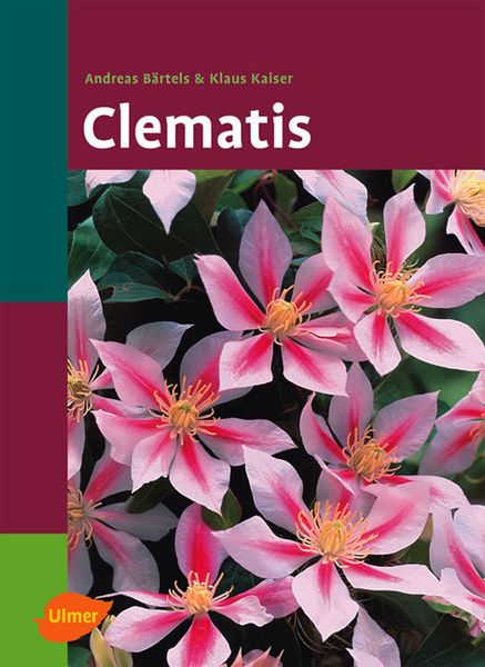 Clematis, Gebundene Ausgabe von Andreas Bärtels,Klaus Kaiser, Verlag Eugen Ulmer, 978-3-8001-4408-2