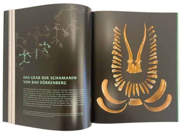 Produktbild: Die Schamanin