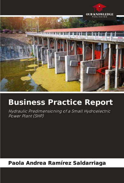 Produktbild: Business Practice Report