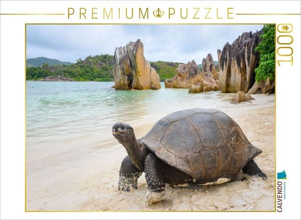 CALVENDO Puzzle Aldabra-Riesenschildkröte auf Curieuse | 1000 Teile Lege-Größe 64x48cm Foto-Puzzle für glückliche Stunden