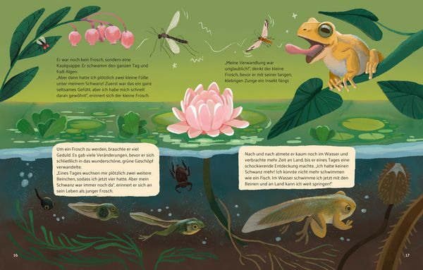 Produktbild: Kleine Geschichten aus der Natur