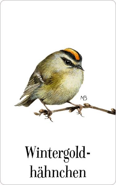 Produktbild: Schachtelspiel: Zauberhaftes Vogel-Memo (M. Bastin)