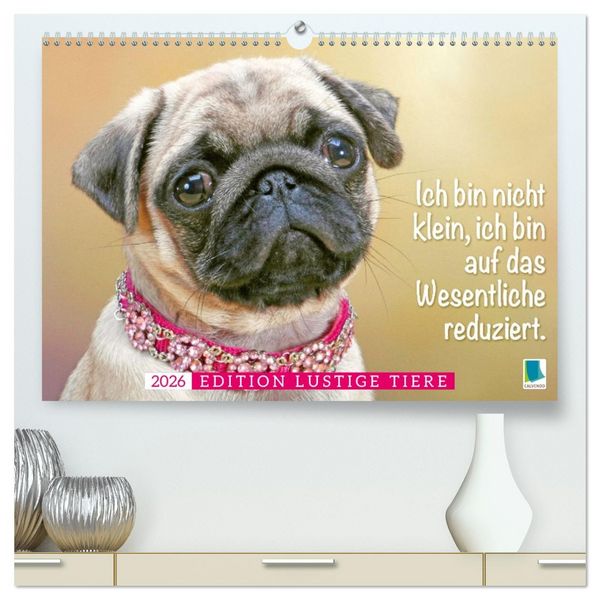 Produktbild: Der Mops: Nicht klein, sondern aufs Wesentliche reduziert. (hochwertiger Premium Wandkalender 2026 DIN A2 quer), Kunstdruck in Hochglanz