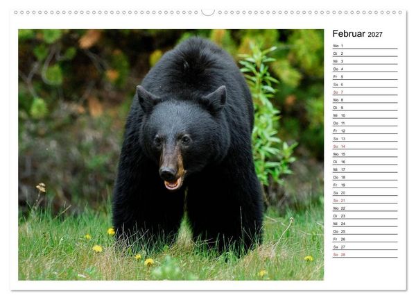 Produktbild: Alaskas Tierwelt - Paradies im Norden (Wandkalender 2027 DIN A2 quer), CALVENDO Monatskalender