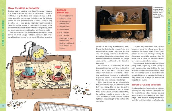 Produktbild: A Kid's Guide to Keeping Chickens