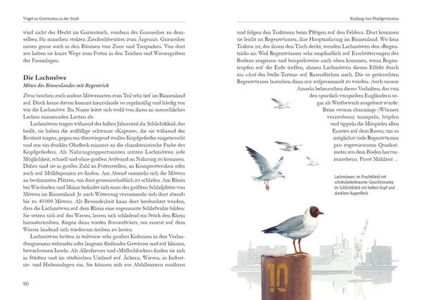 Produktbild: V&ouml;gel in der Stadt