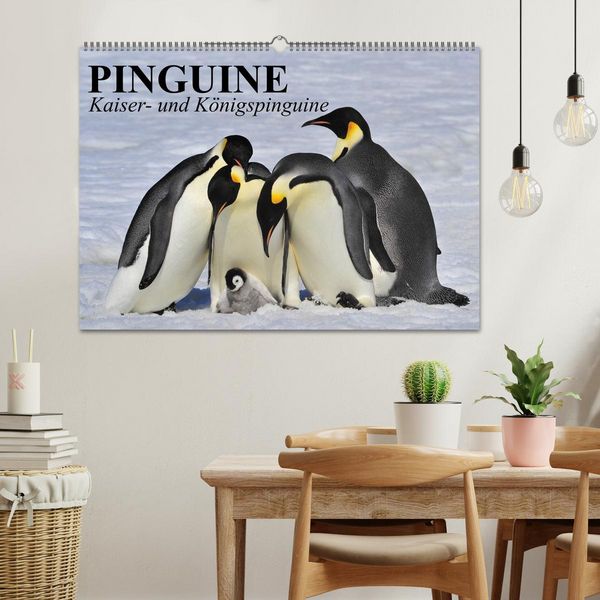 Produktbild: Pinguine - Kaiser- und K&ouml;nigspinguine (Wandkalender 2026 DIN A2 quer), CALVENDO Monatskalender
