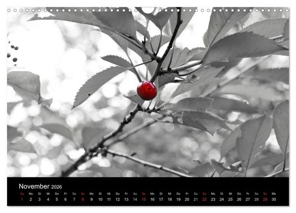 Produktbild: Farbtupfer (Wandkalender 2026 DIN A3 quer), CALVENDO Monatskalender
