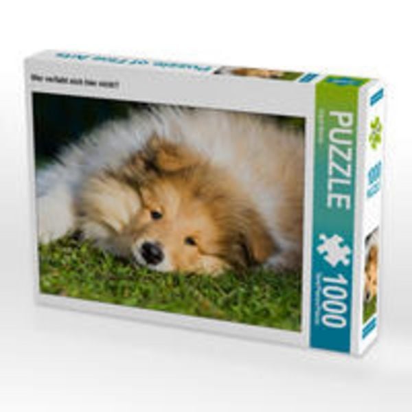 CALVENDO Puzzle Wer verliebt sich hier nicht? | 1000 Teile Lege-Größe 64x48cm Foto-Puzzle für glückliche Stunden