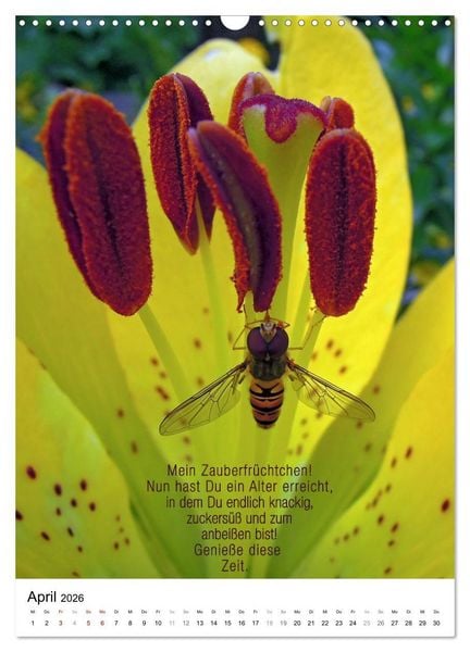 Produktbild: Licht Farbe Natur (Wandkalender 2026 DIN A3 hoch), CALVENDO Monatskalender