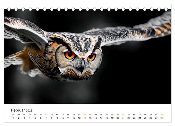 Produktbild: Im Reich der Eulen (Tischkalender 2026 DIN A5 quer), CALVENDO Monatskalender
