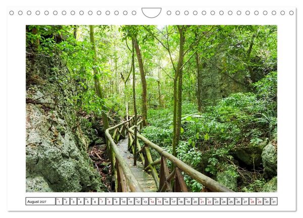 Produktbild: Dominikanische Karibik (Wandkalender 2027 DIN A4 quer), CALVENDO Monatskalender