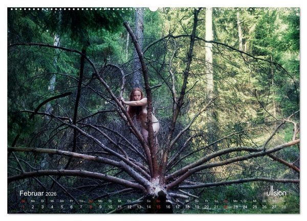 Produktbild: ZAUBERWALD Mystik der Natur (hochwertiger Premium Wandkalender 2026 DIN A2 quer), Kunstdruck in Hochglanz