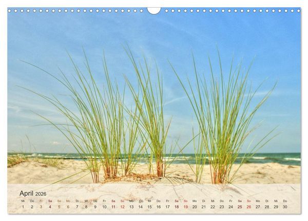 Produktbild: Insel R&uuml;gen und Hiddensee (Wandkalender 2026 DIN A3 quer), CALVENDO Monatskalender