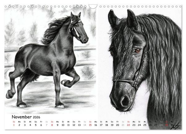 Produktbild: Arts & Horses (Wandkalender 2026 DIN A3 quer), CALVENDO Monatskalender