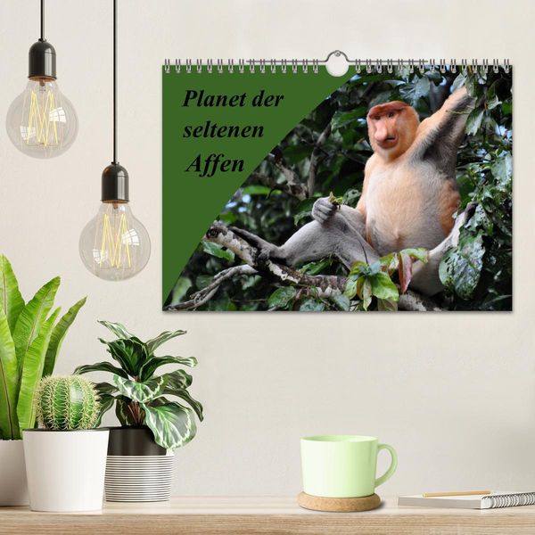Produktbild: Planet der seltenen Affen (Wandkalender 2026 DIN A4 quer), CALVENDO Monatskalender