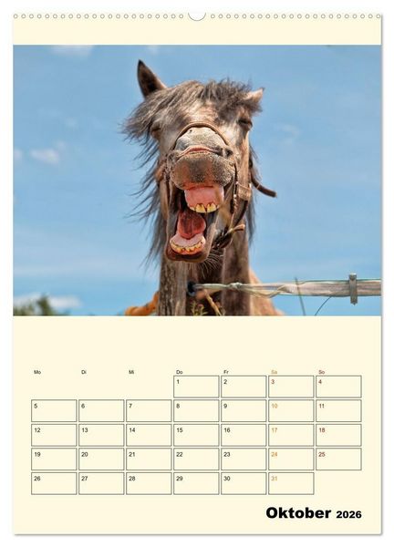 Produktbild: Lustig verr&uuml;ckt - der Tierkalender (hochwertiger Premium Wandkalender 2026 DIN A2 hoch), Kunstdruck in Hochglanz