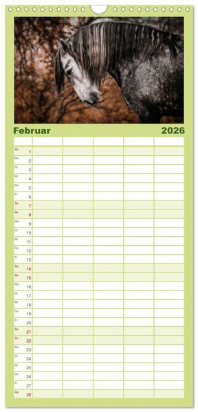 Produktbild: Familienplaner 2026 - Die Faszinierende Welt der Pferde mit 5 Spalten (Wandkalender, 21 x 45 cm) CALVENDO