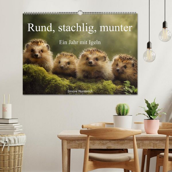 Produktbild: Rund, stachlig, munter - Ein Jahr mit Igeln (Wandkalender 2026 DIN A2 quer), CALVENDO Monatskalender